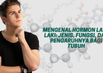 Mengenal Hormon Laki-Laki Jenis, Fungsi, dan Pengaruhnya bagi Tubuh