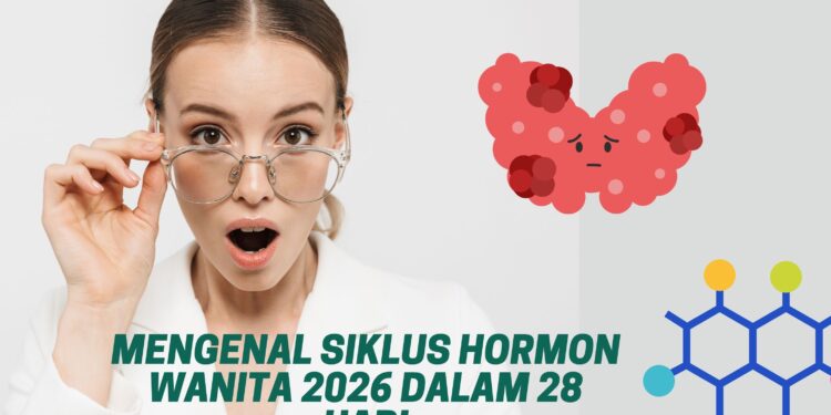 Mengenal Siklus Hormon Wanita 2026 dalam 28 Hari