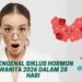 Mengenal Siklus Hormon Wanita 2026 dalam 28 Hari