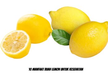 10 Manfaat Buah Lemon Untuk Kesehatan