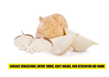 Khasiat Bengkoang untuk Tubuh, Kulit Wajah, dan Kesehatan Ibu Hamil