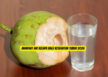 Manfaat Air Kelapa Bagi Kesehatan Tubuh 2026