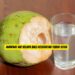 Manfaat Air Kelapa Bagi Kesehatan Tubuh 2026