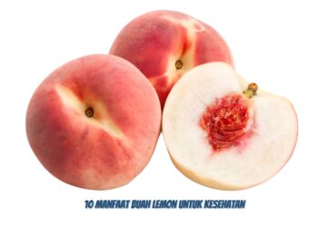 Manfaat Buah Peach Untuk Kesehatan Tubuh