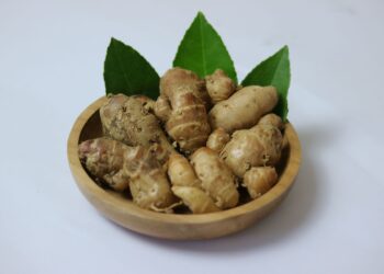 Manfaat Kencur untuk Kesehatan Terbaru 2026