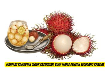 Manfaat Rambutan untuk Kesehatan: Buah Manis dengan Segudang Khasiat