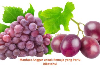 Manfaat Anggur untuk Remaja yang Perlu Diketahui