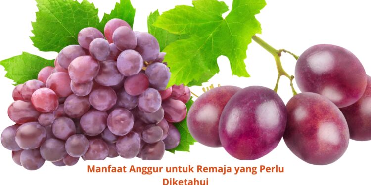 Manfaat Anggur untuk Remaja yang Perlu Diketahui