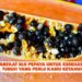Manfaat Biji Pepaya untuk Kesehatan Tubuh yang Perlu Kamu Ketahui