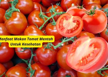 Manfaat Makan Tomat Mentah Untuk Kesehatan