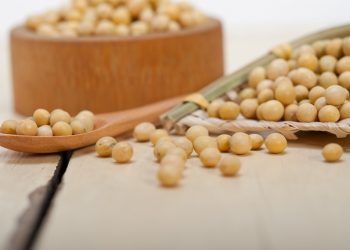 Manfaat Kacang Kedelai Untuk Kesehatan