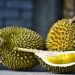 Manfaat Buah Durian