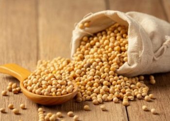 Kedelai untuk Kecantikan (freepik)